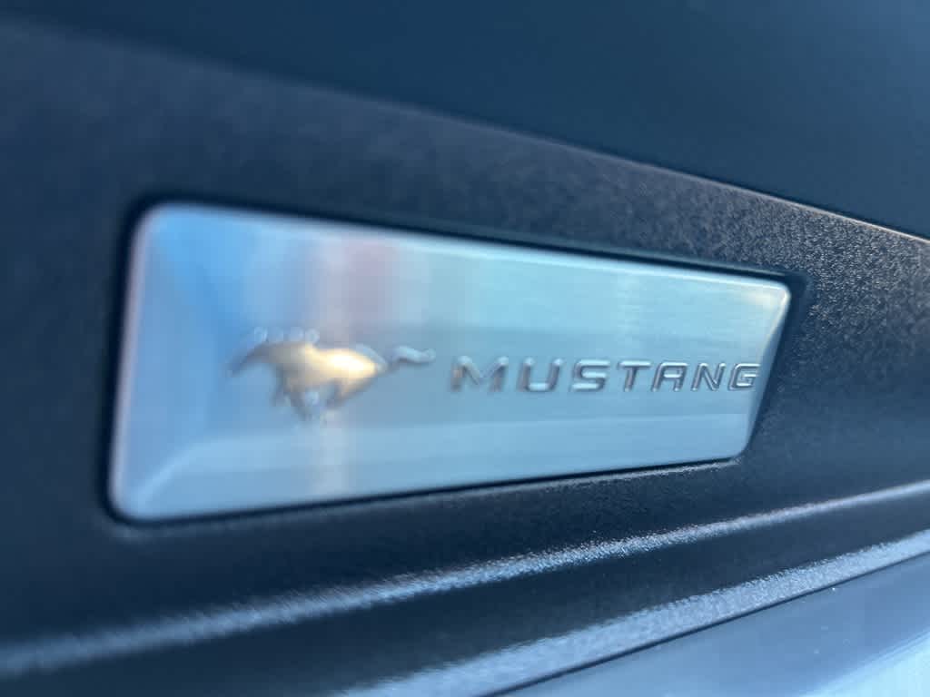 2019 Ford Mustang EcoBoost Premium 31