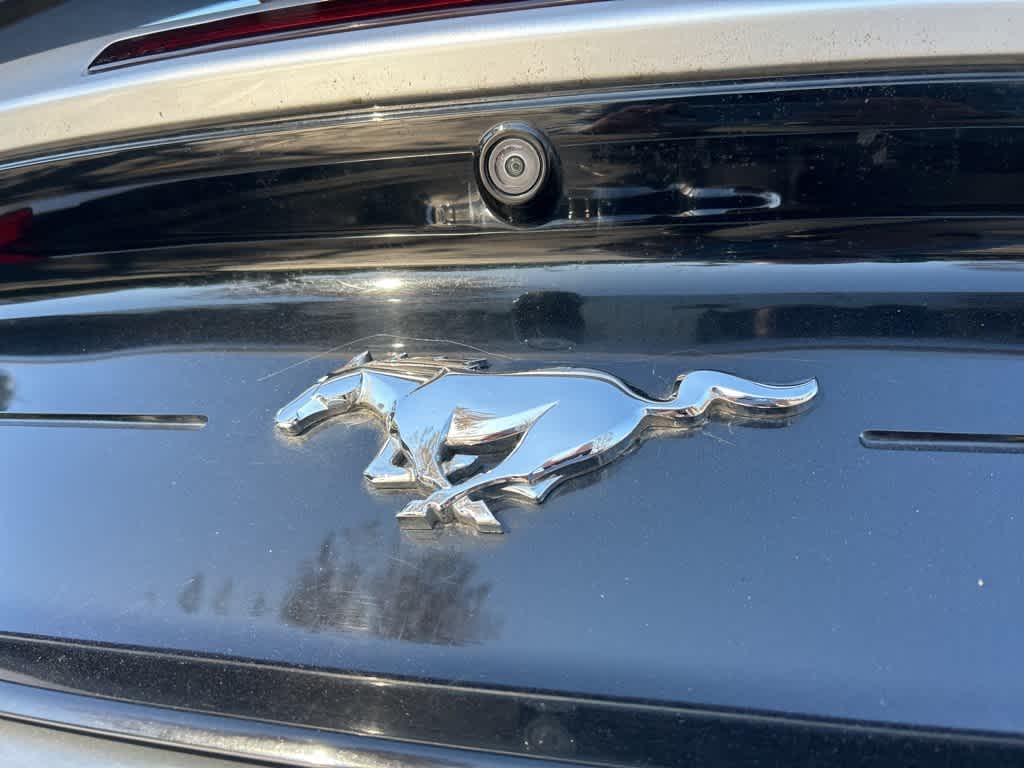 2019 Ford Mustang EcoBoost Premium 15