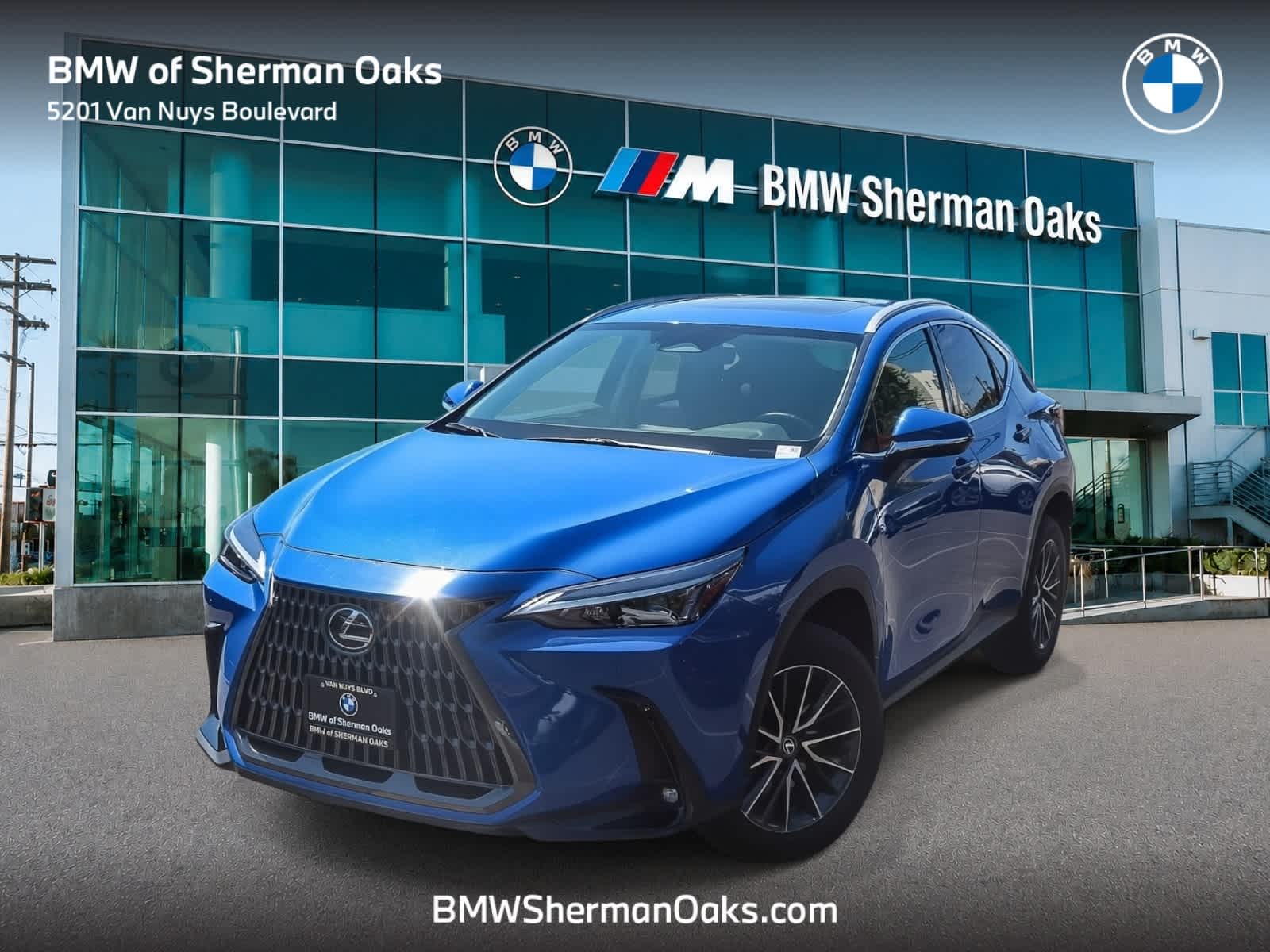 2025 Lexus NX 250