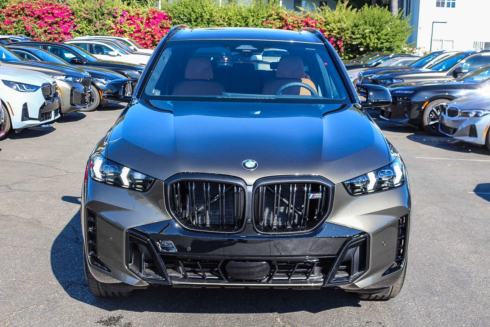 2025 BMW X5 M60i 2