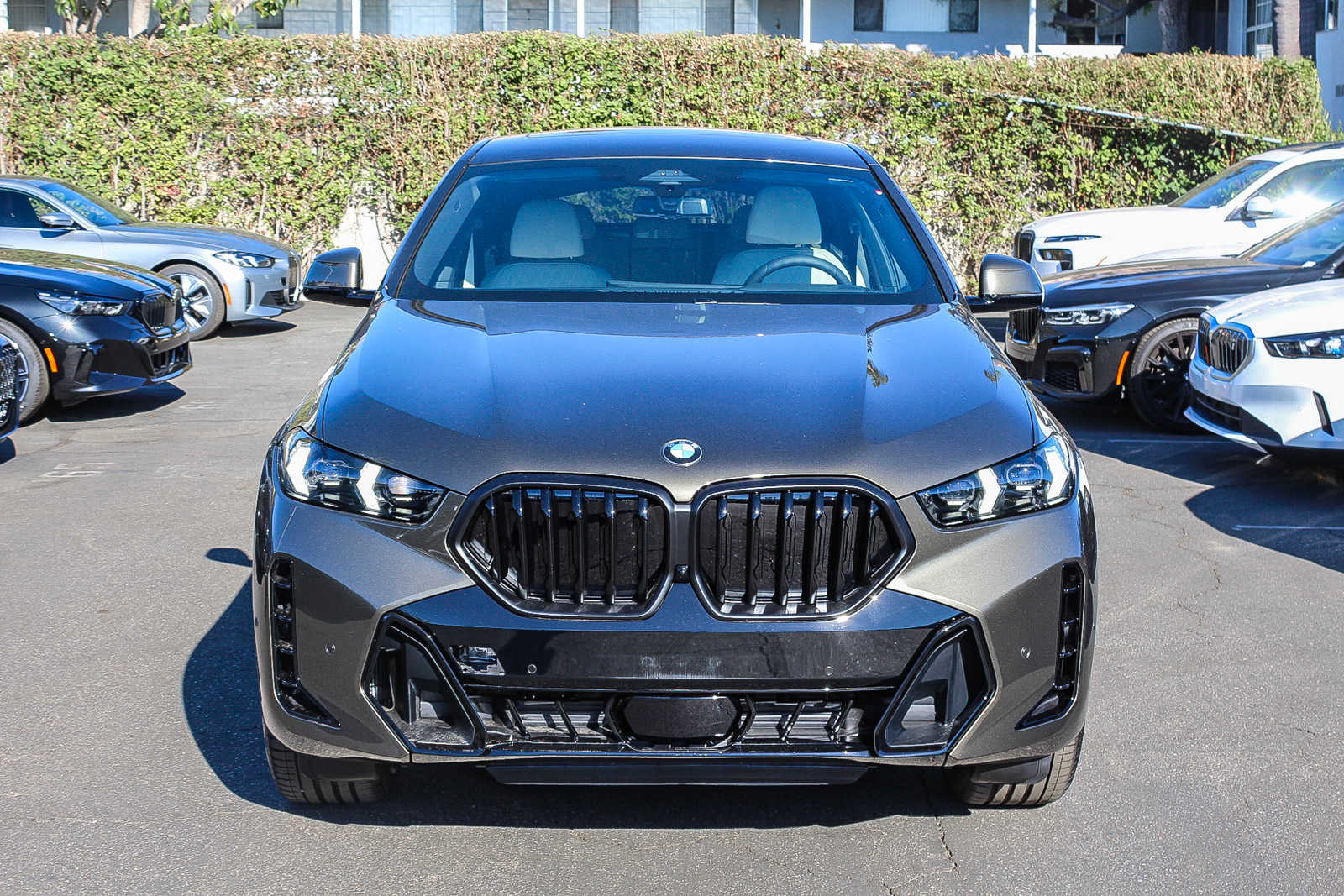 2025 BMW X6 xDrive40i 3