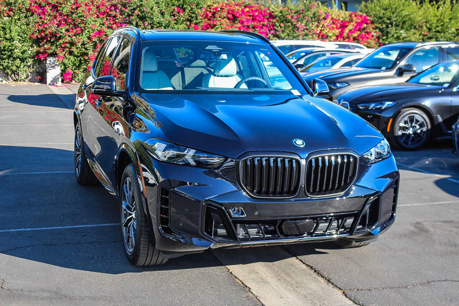 2025 BMW X5 xDrive50e 6