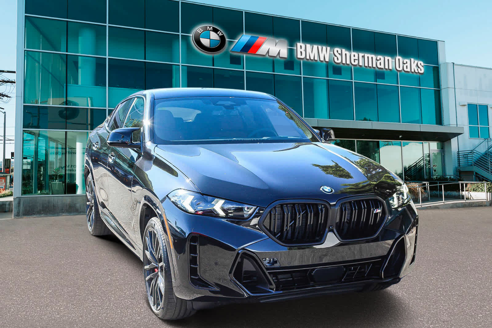 2025 BMW X6 M60i 3