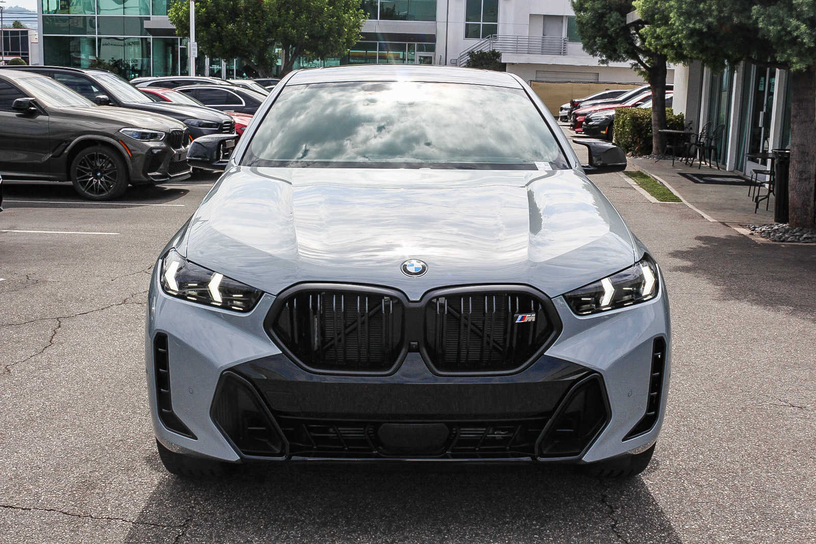 2025 BMW X6 M60i 2