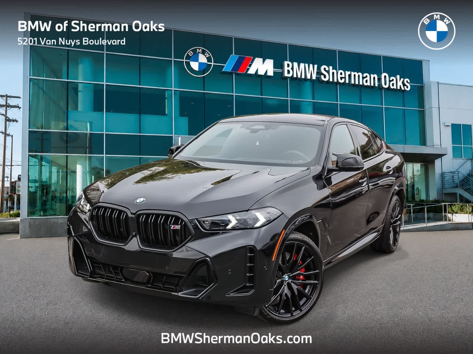 2025 BMW X6