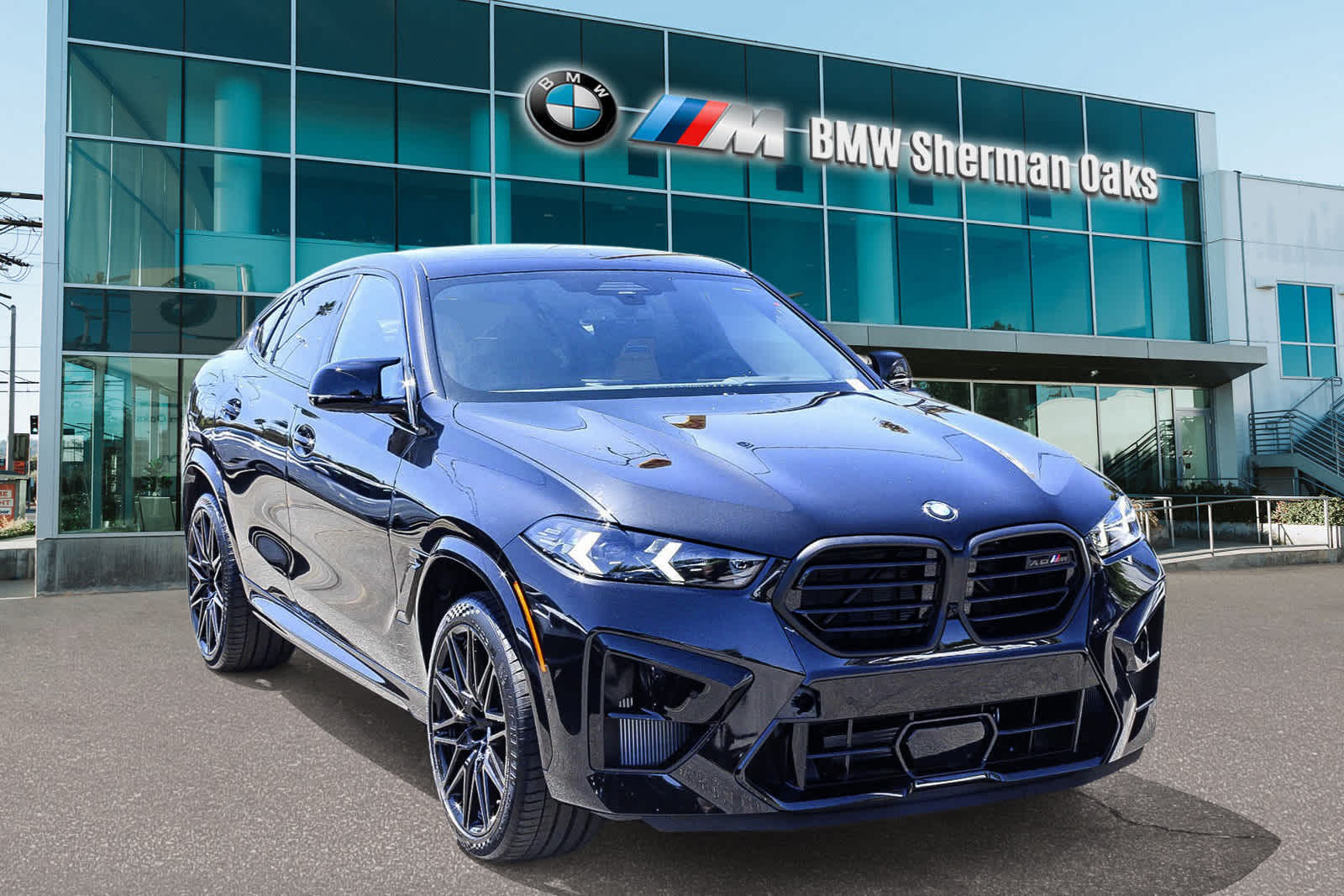 2025 BMW X6 M  3