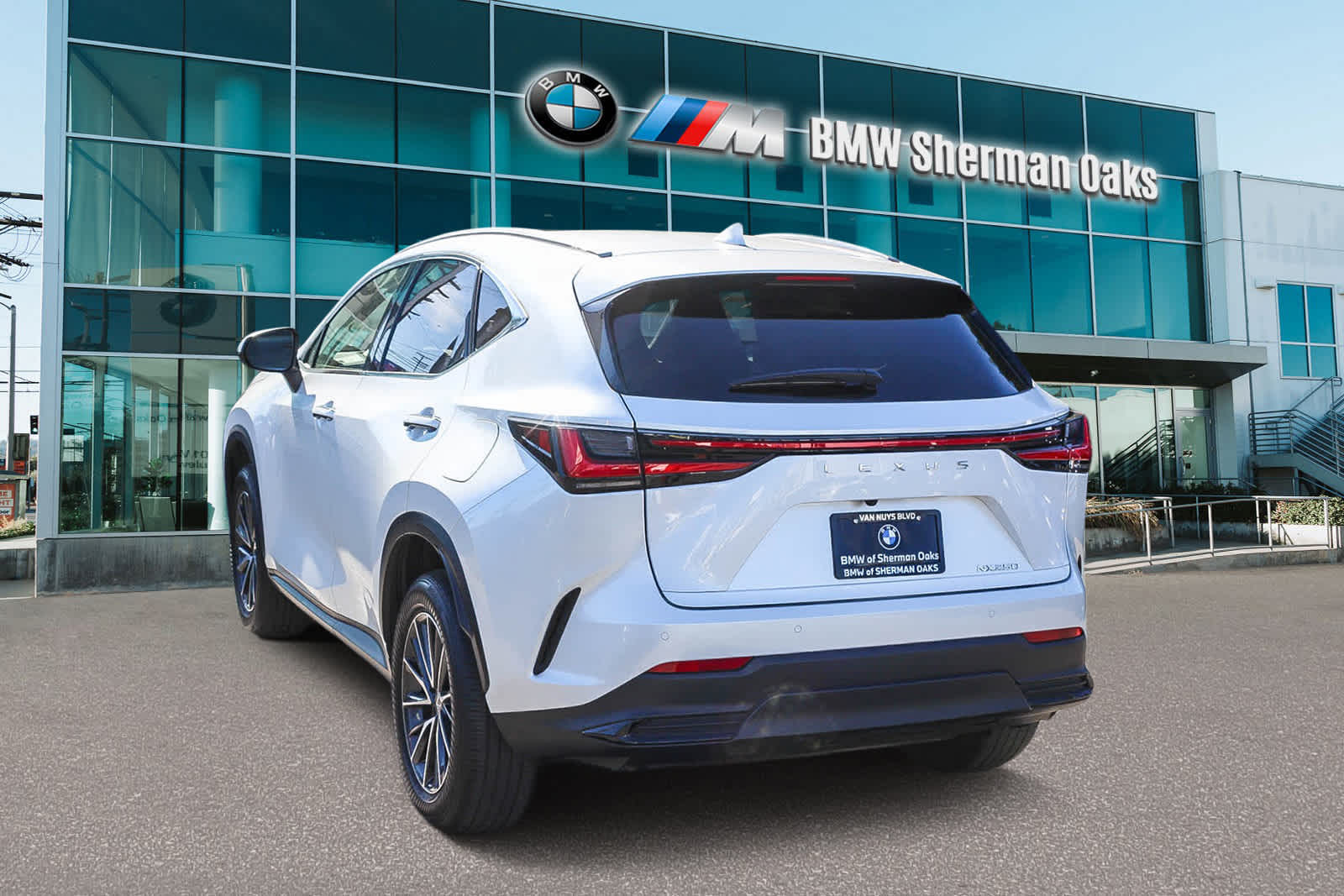 2024 Lexus NX Premium  6