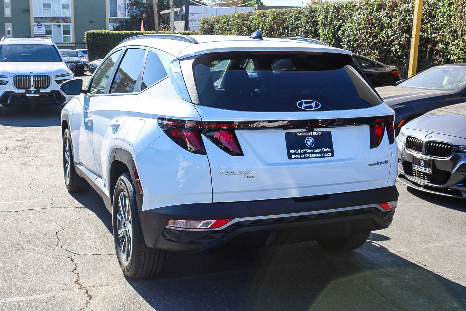 2024 Hyundai Tucson Hybrid Blue 6