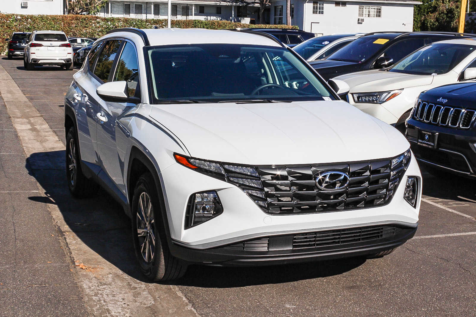 2024 Hyundai Tucson Hybrid Blue 3