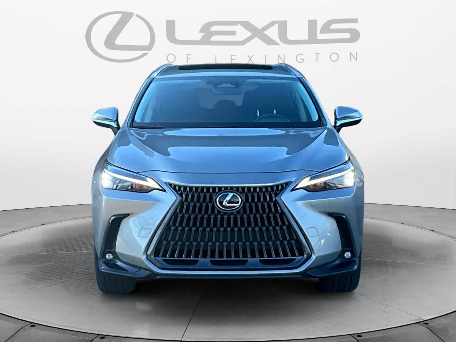 2023 Lexus NX  8