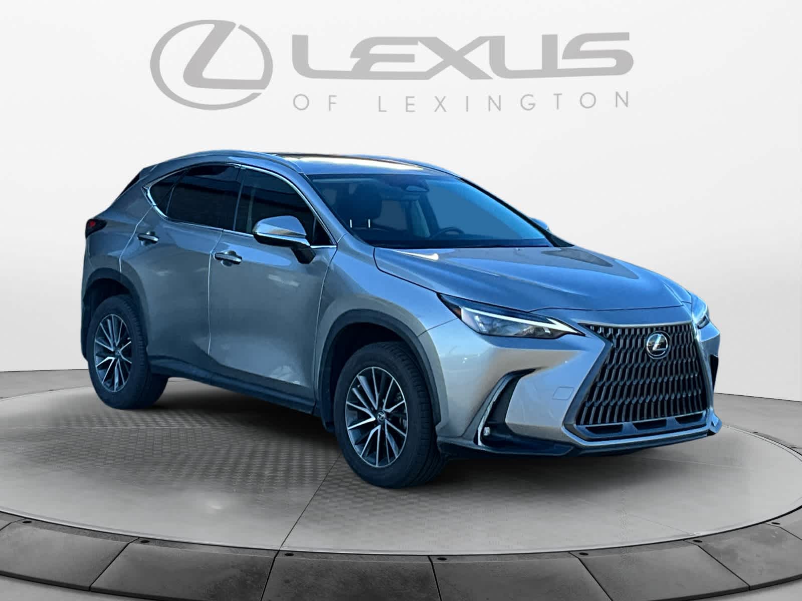 2023 Lexus NX  7