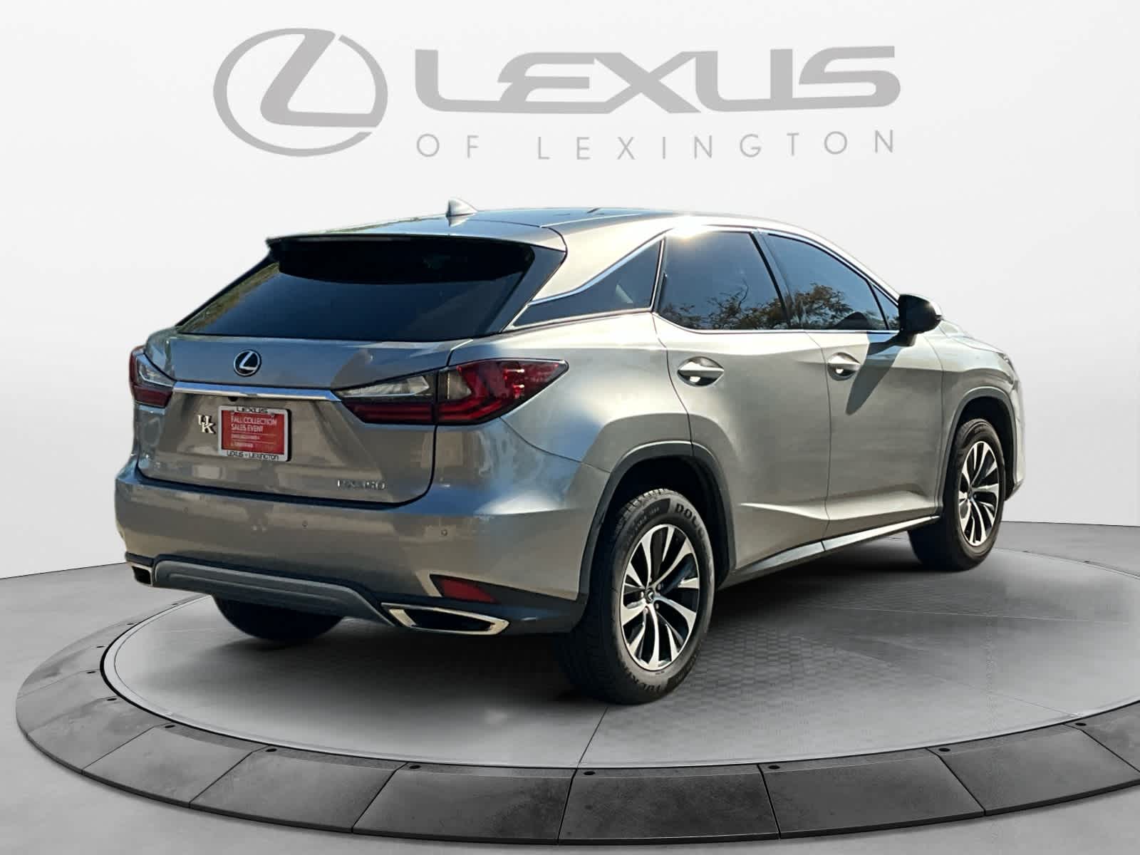 2020 Lexus RX  5