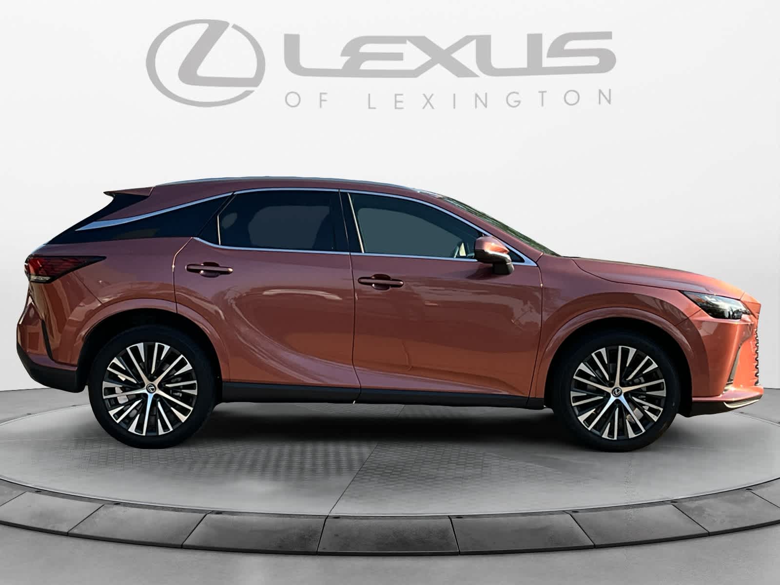 2023 Lexus RX Premium Plus 6