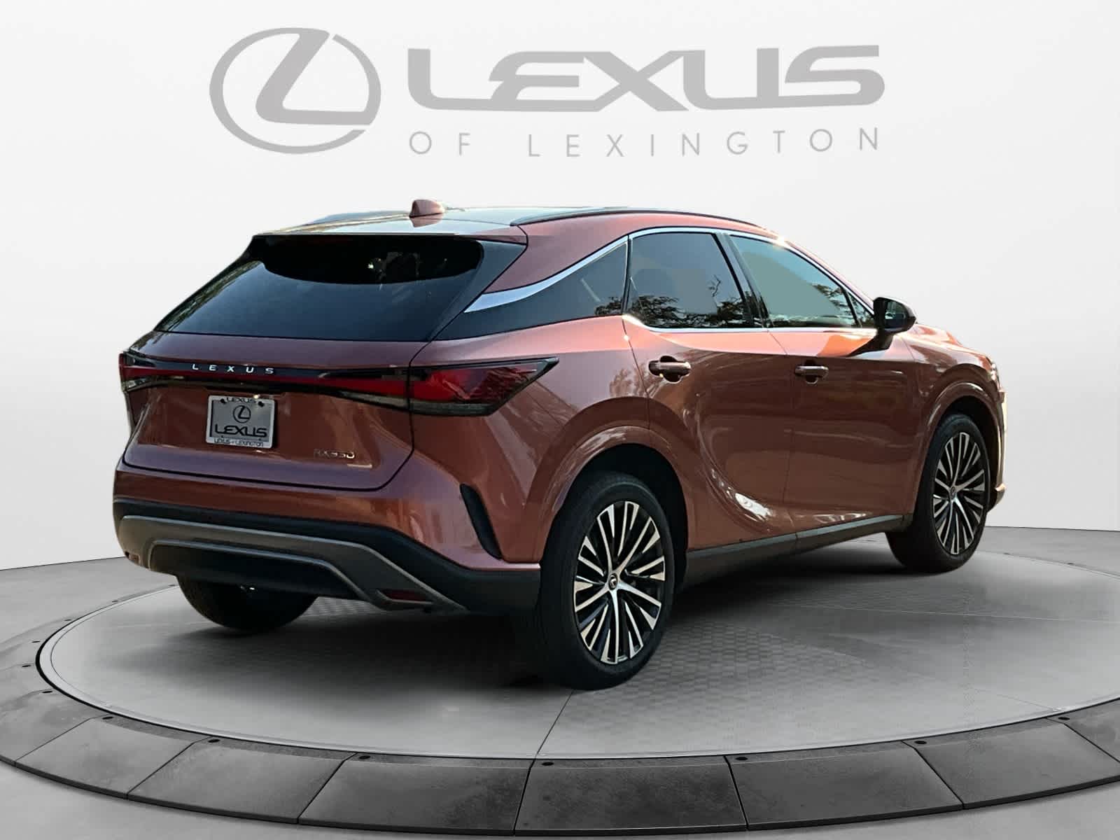 2023 Lexus RX Premium Plus 5