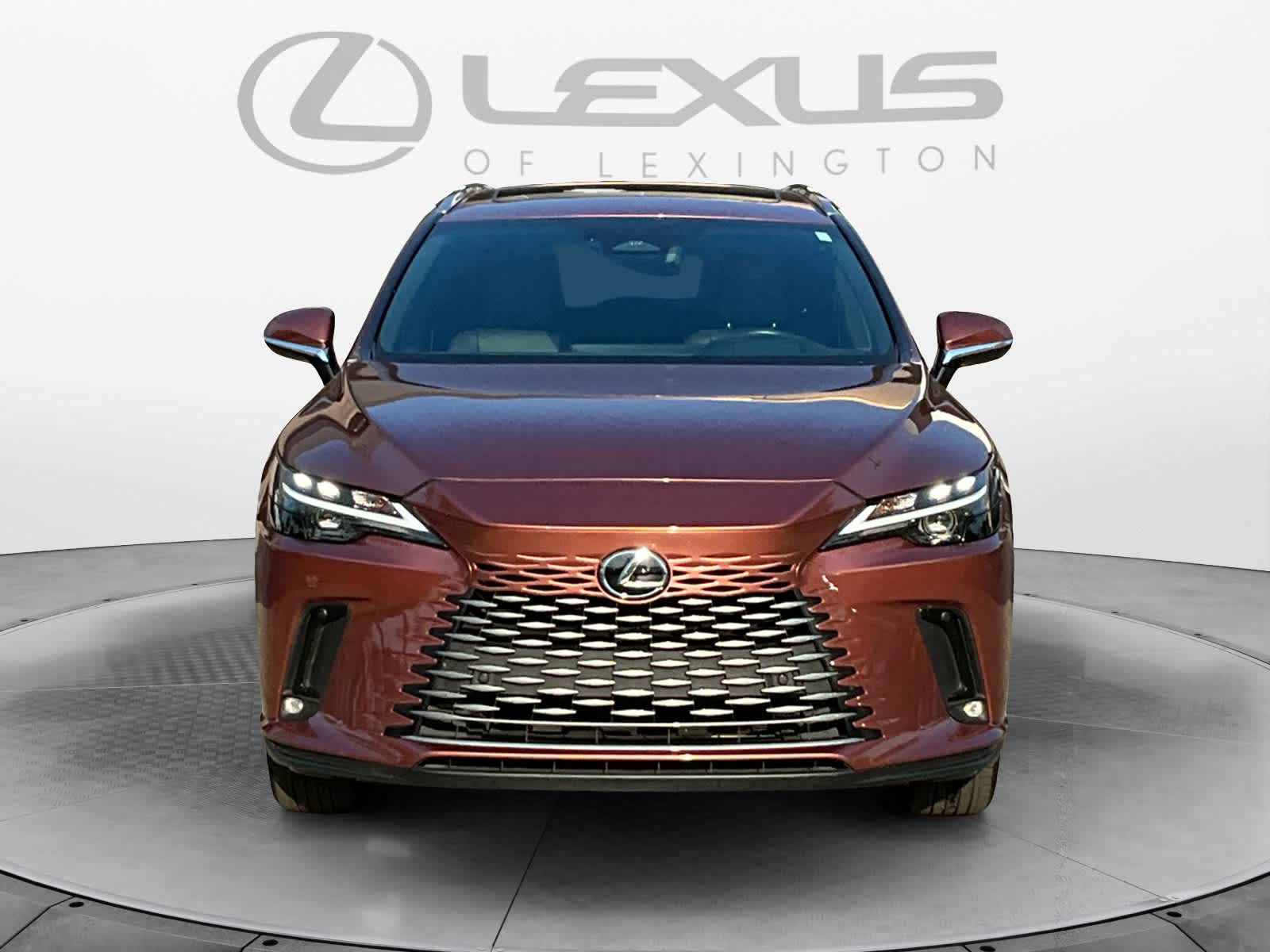 2023 Lexus RX Premium Plus 8