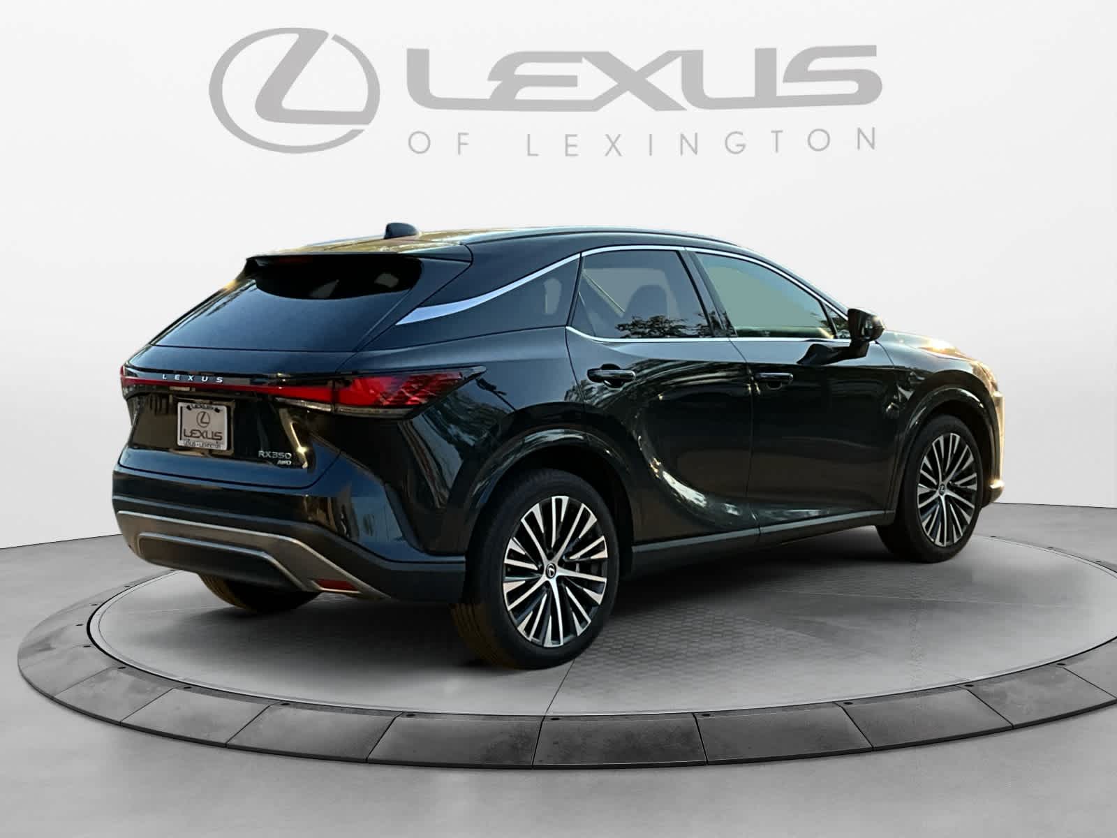 2023 Lexus RX Premium Plus 5