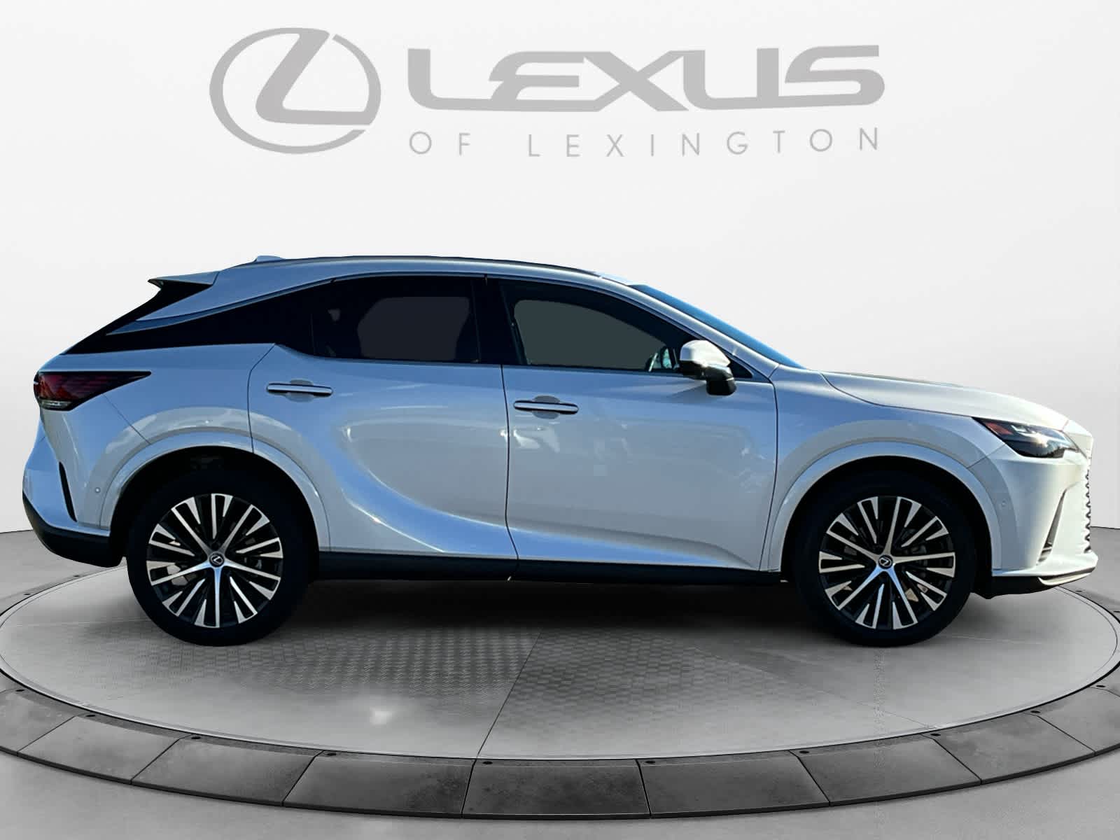 2024 Lexus RX Premium Plus 6