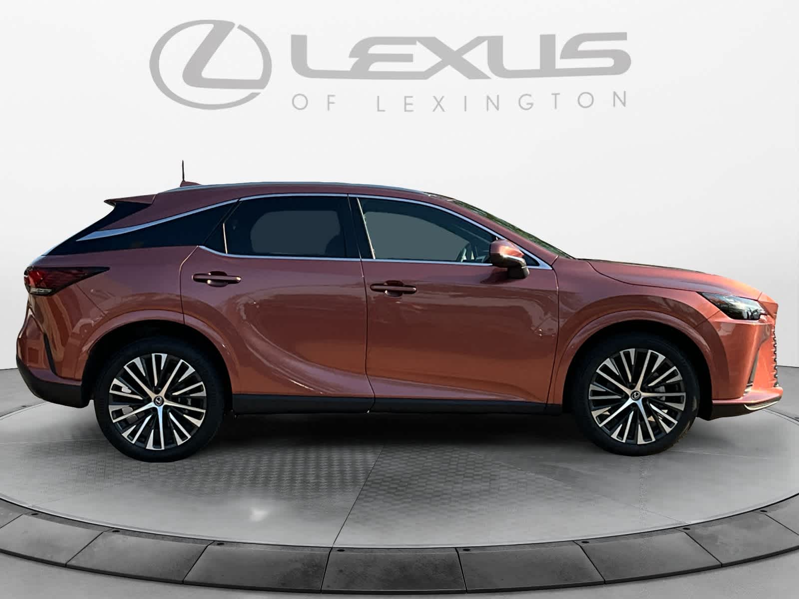 2023 Lexus RX Premium Plus 6