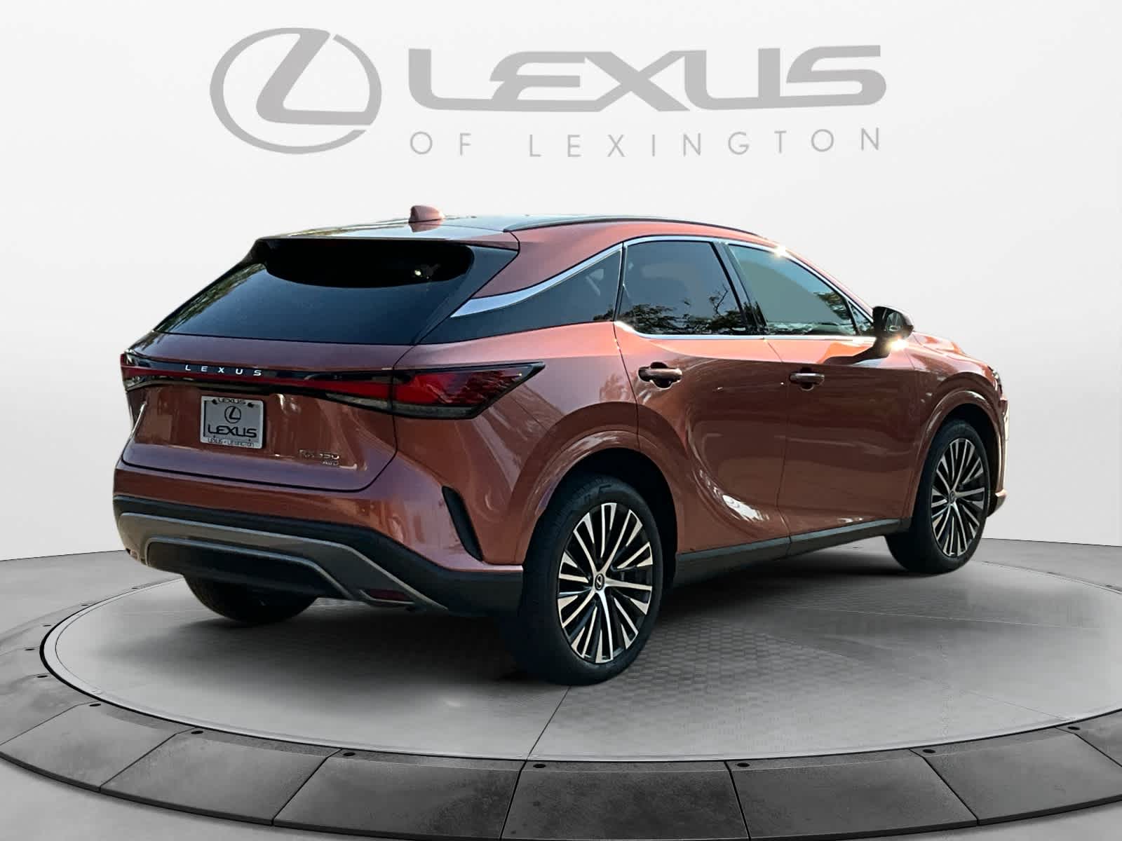 2023 Lexus RX Premium Plus 5