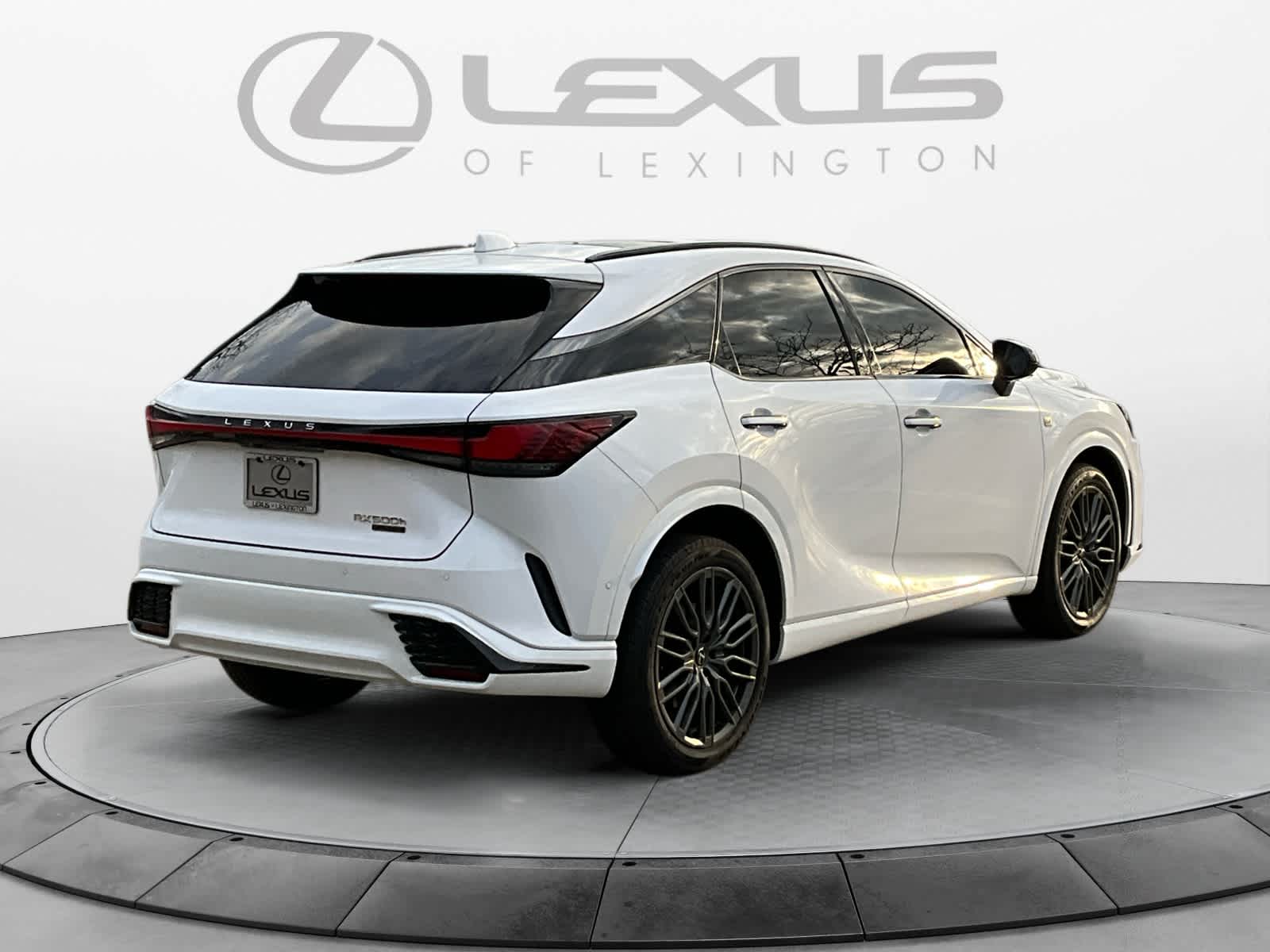 2024 Lexus RX F SPORT Performance 5