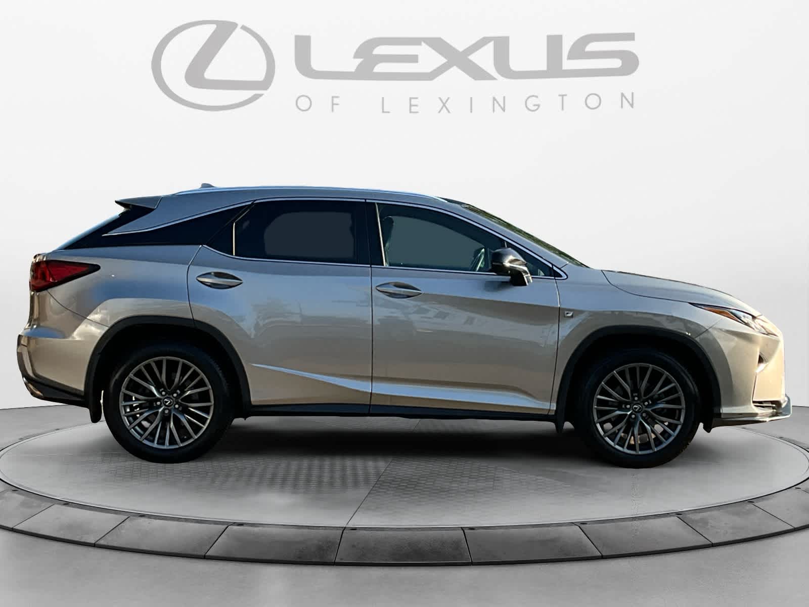 2019 Lexus RX F SPORT 6