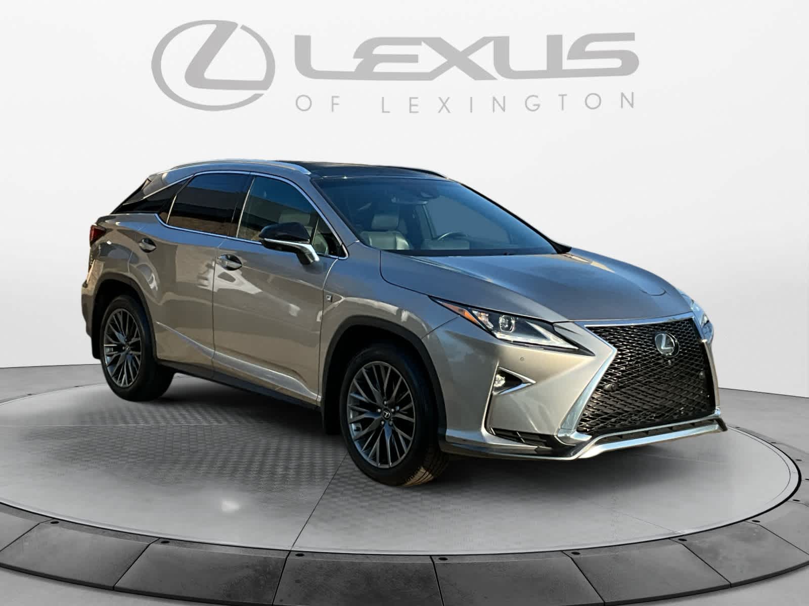 2019 Lexus RX F SPORT 7