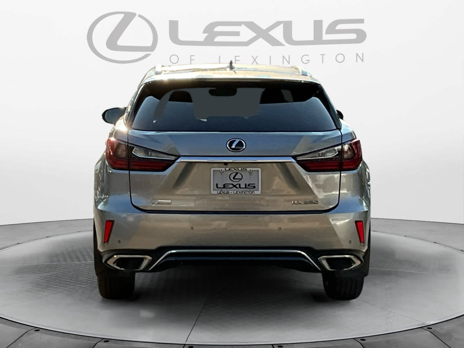 2019 Lexus RX F SPORT 4