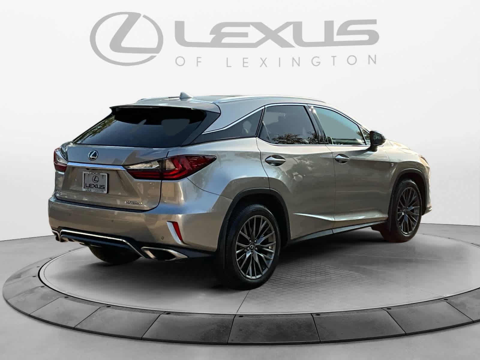 2019 Lexus RX F SPORT 5