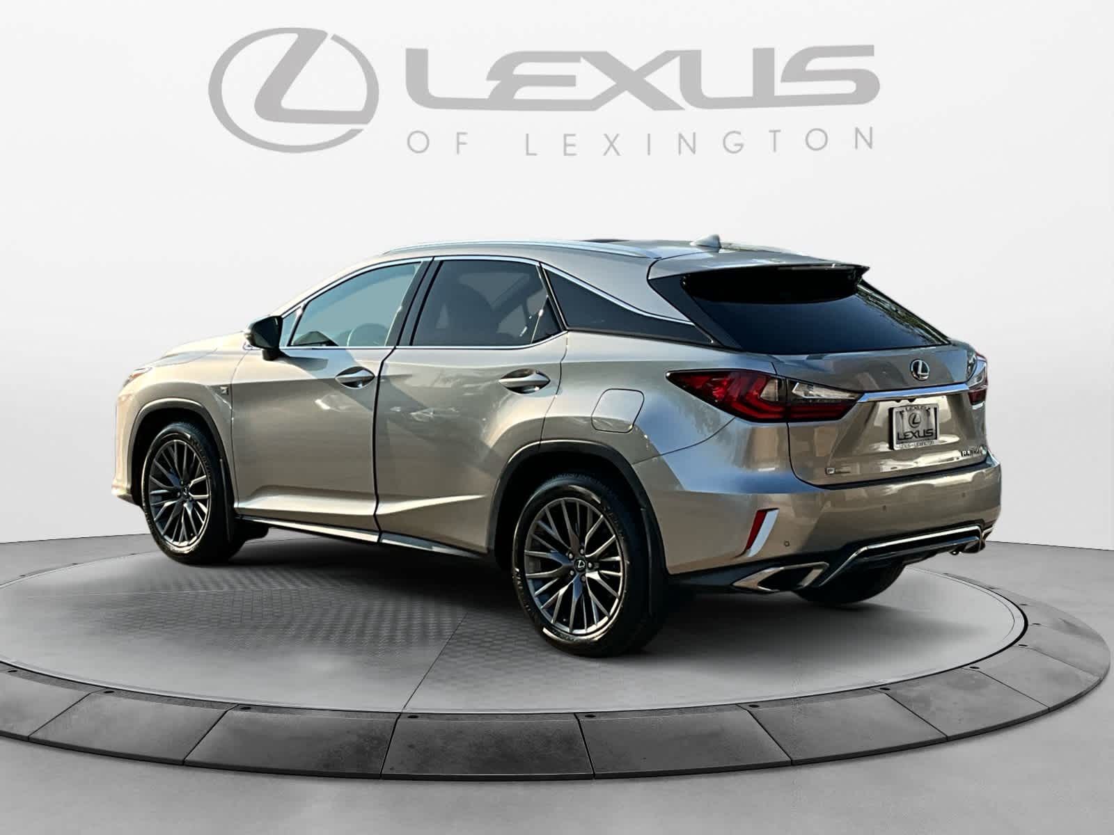 2019 Lexus RX F SPORT 3