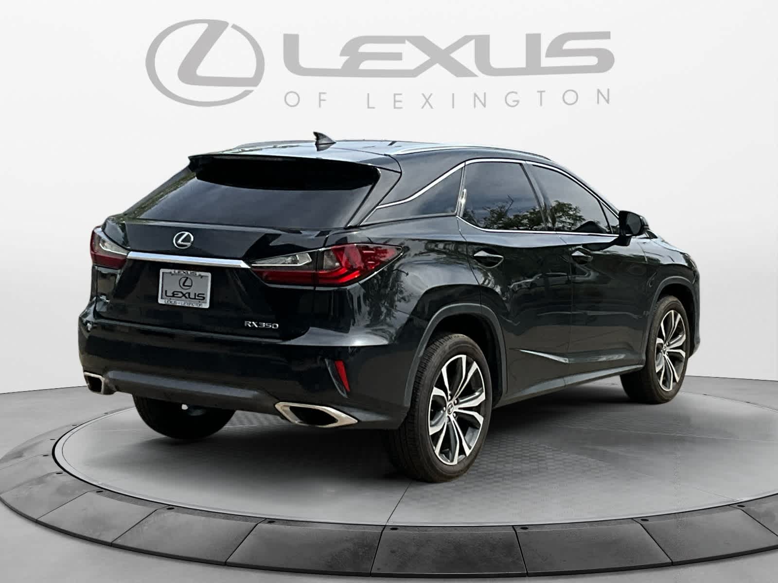 2019 Lexus RX  5