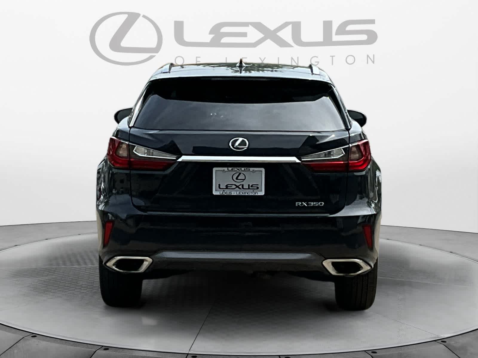 2019 Lexus RX  4