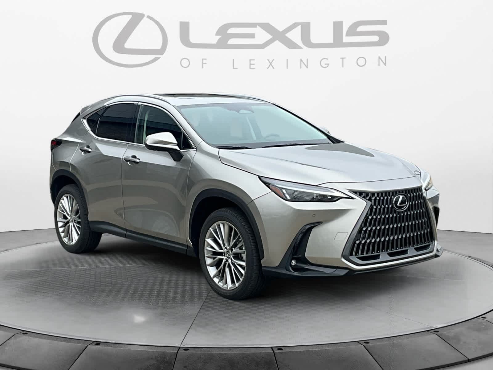 2025 Lexus NX Premium 7