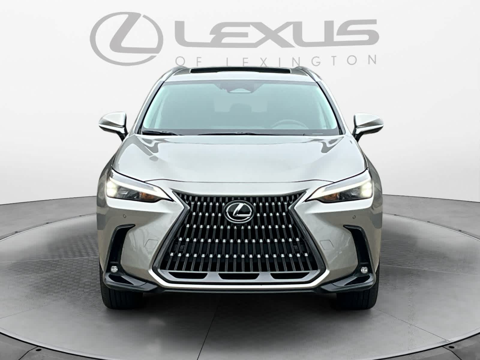 2025 Lexus NX Premium 8