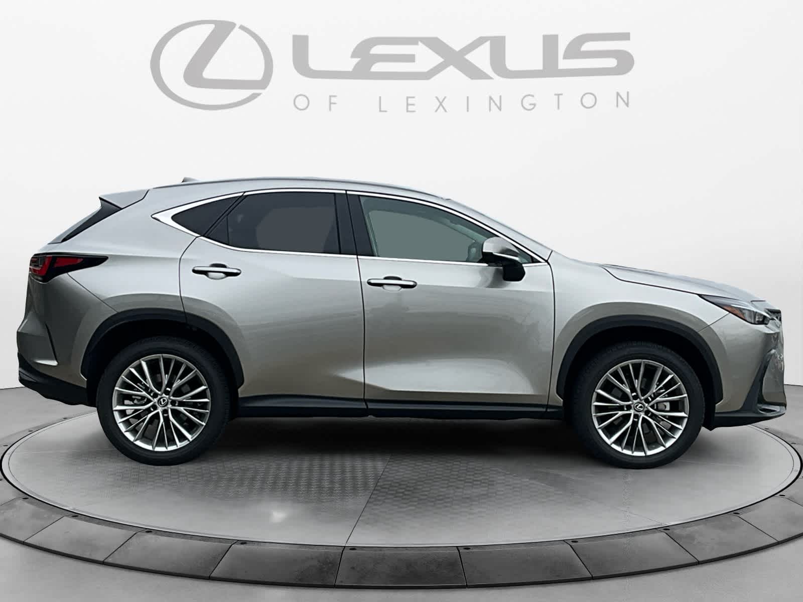 2025 Lexus NX Premium 6