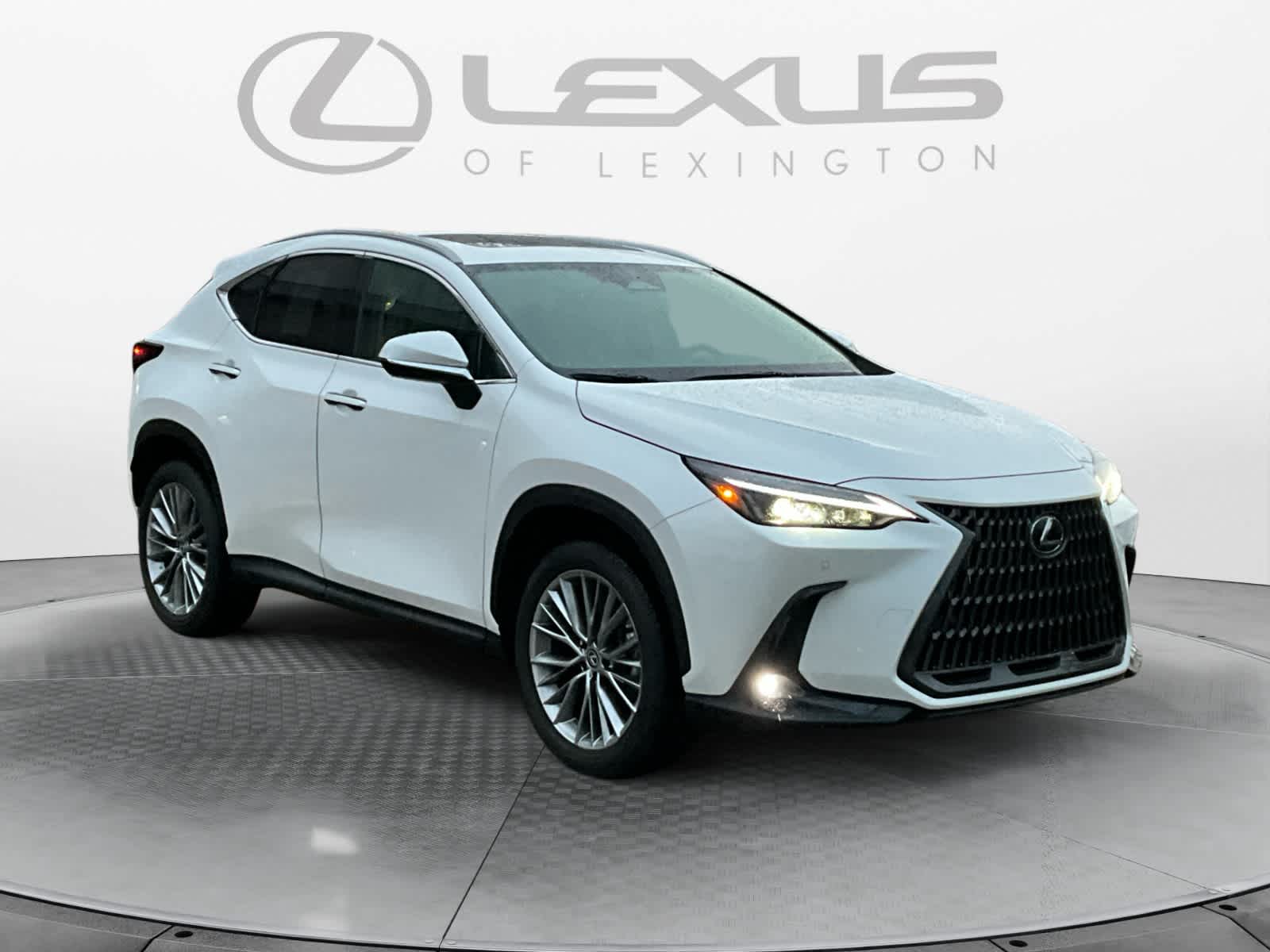 2022 Lexus NX Premium 7