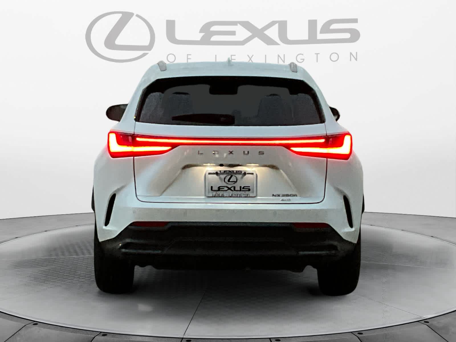 2022 Lexus NX Premium 4