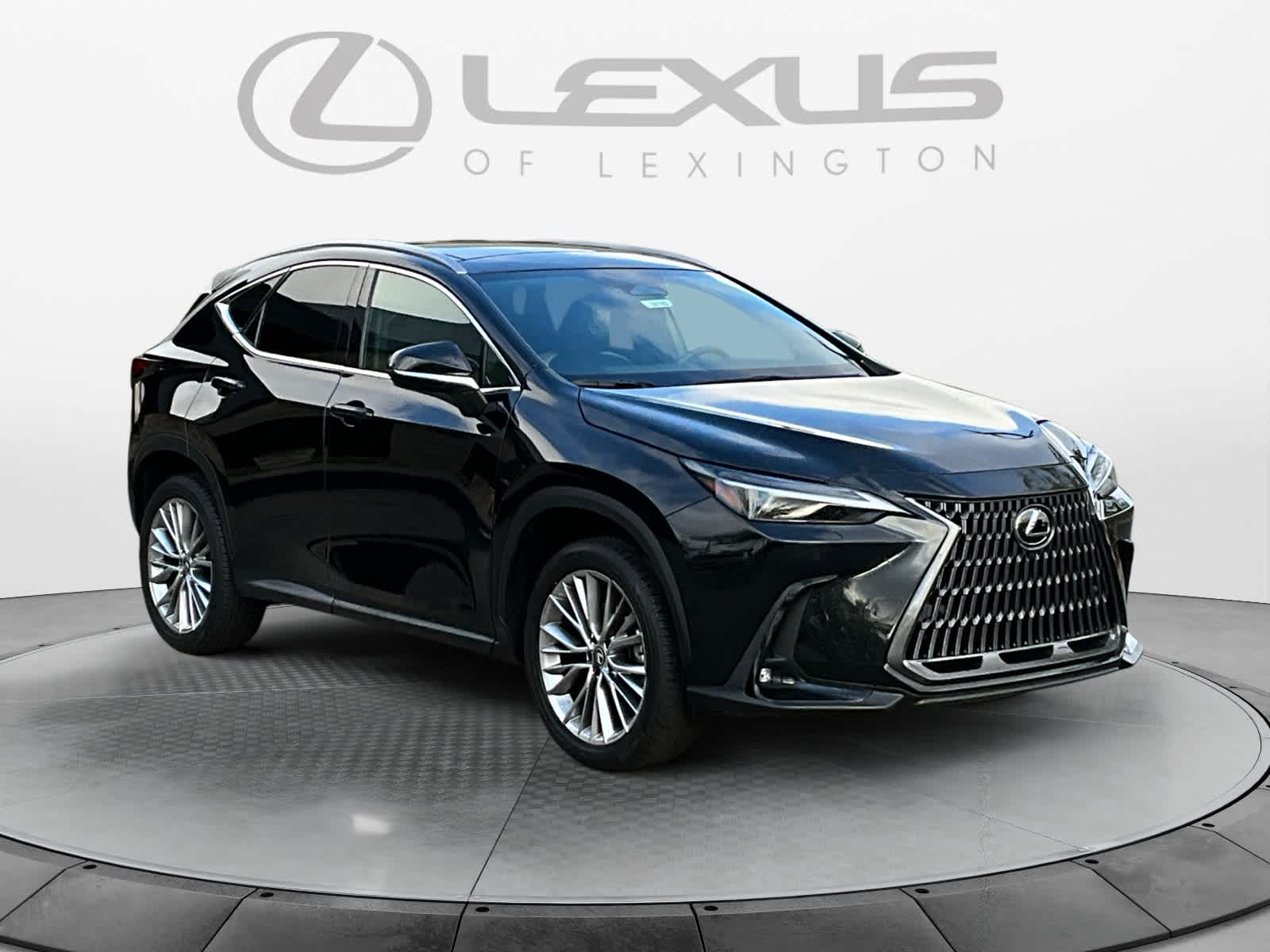 2024 Lexus NX Luxury 7