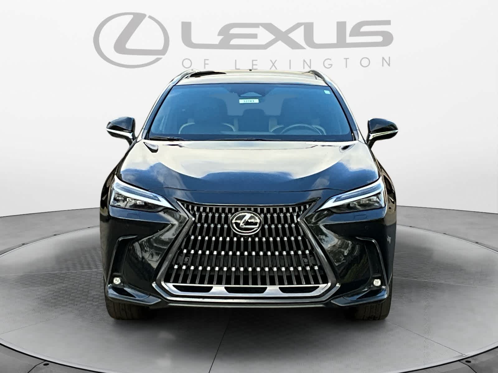 2024 Lexus NX Luxury 8