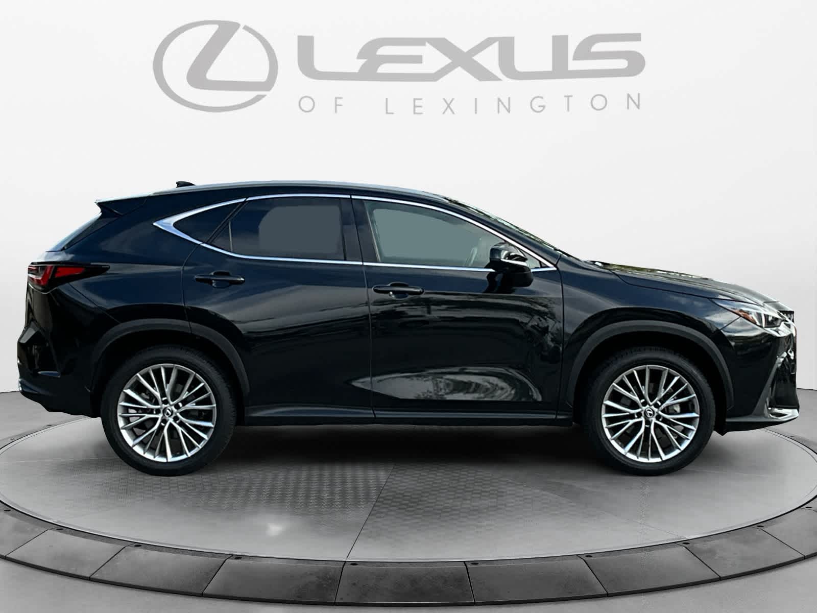 2024 Lexus NX Luxury 6