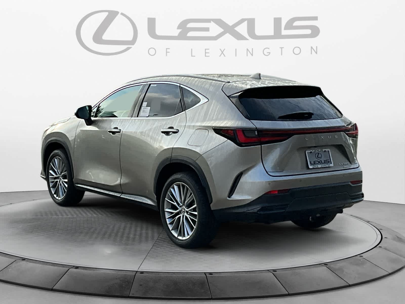 2024 Lexus NX Luxury 3