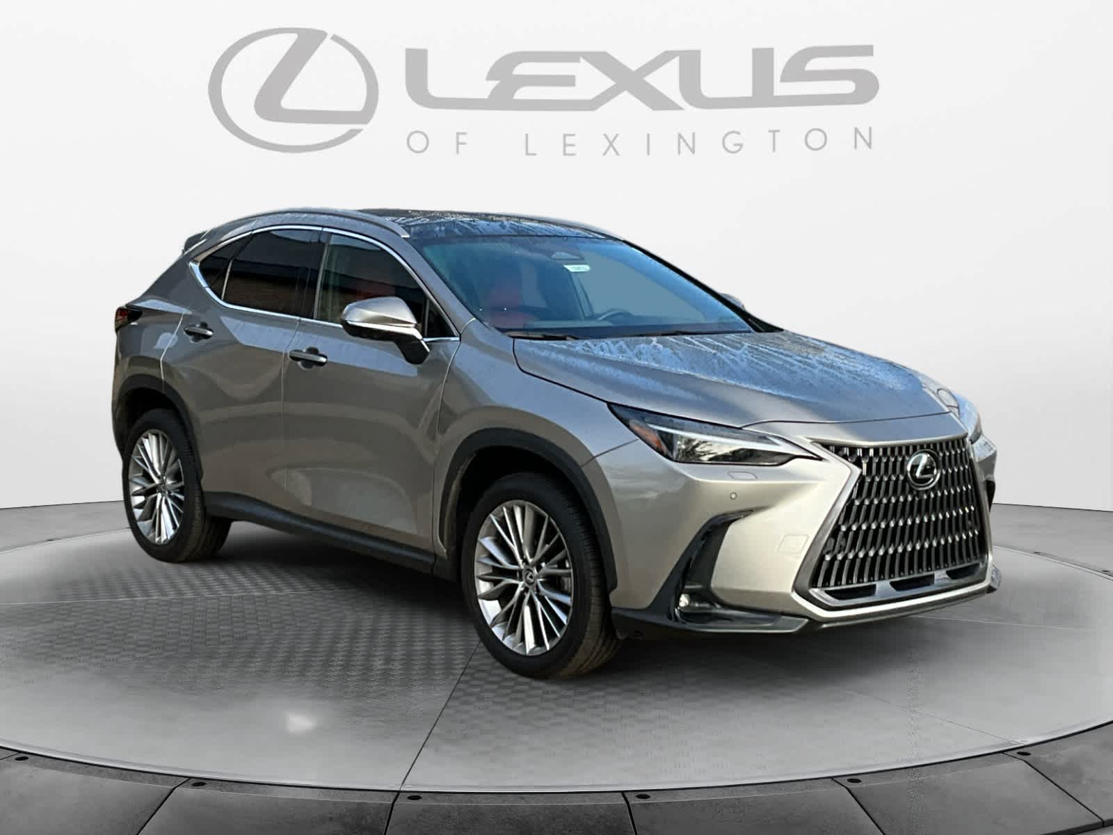 2024 Lexus NX Luxury 7