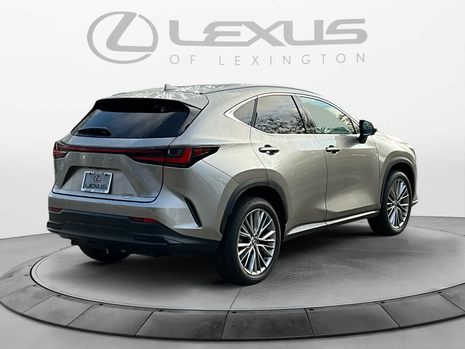 2024 Lexus NX Luxury 5