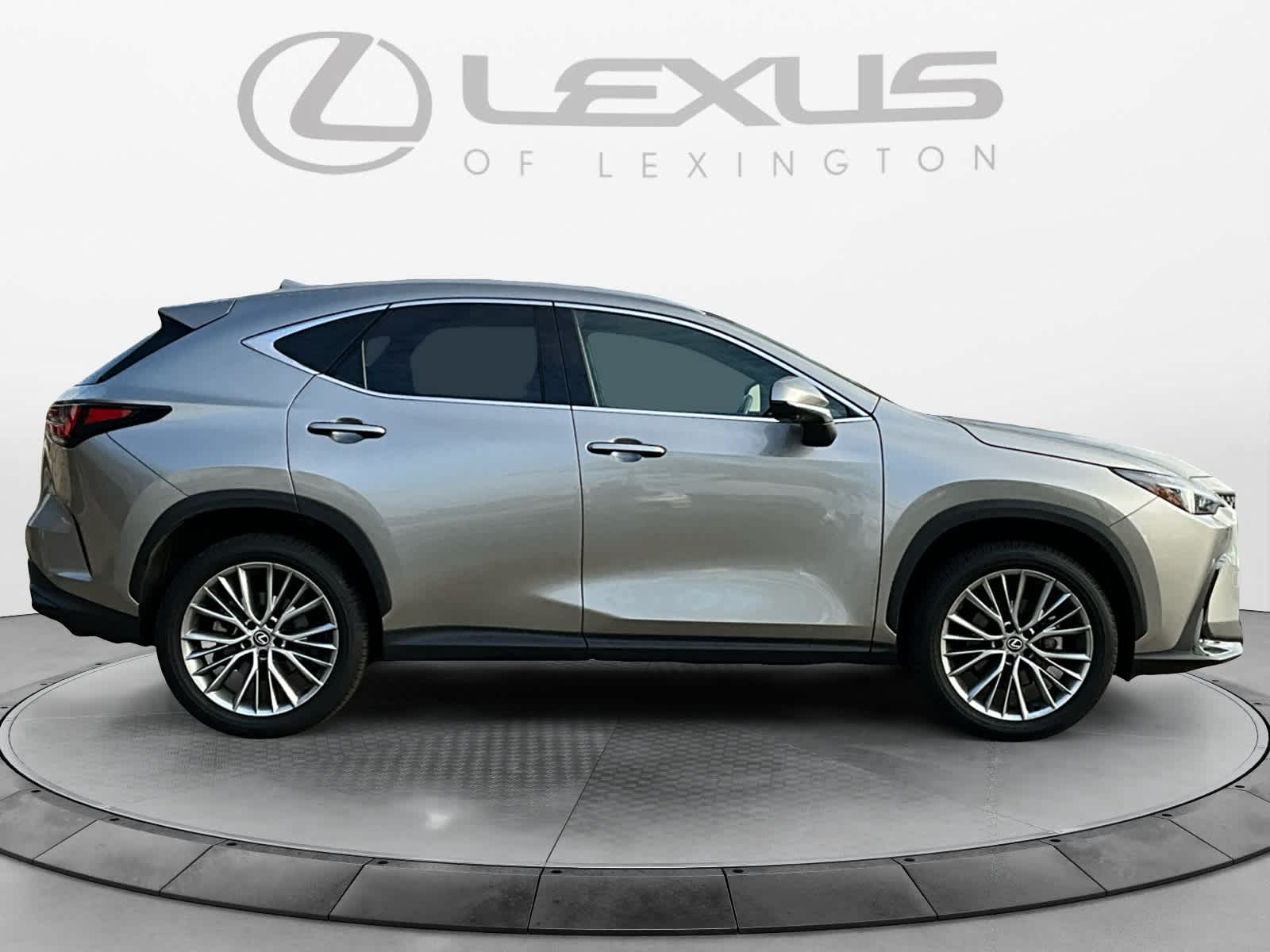 2024 Lexus NX Luxury 6