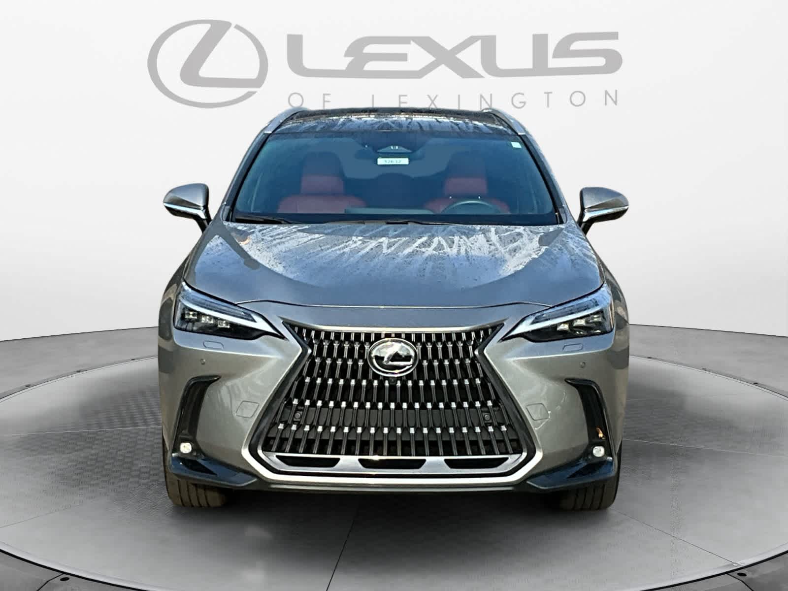 2024 Lexus NX Luxury 8