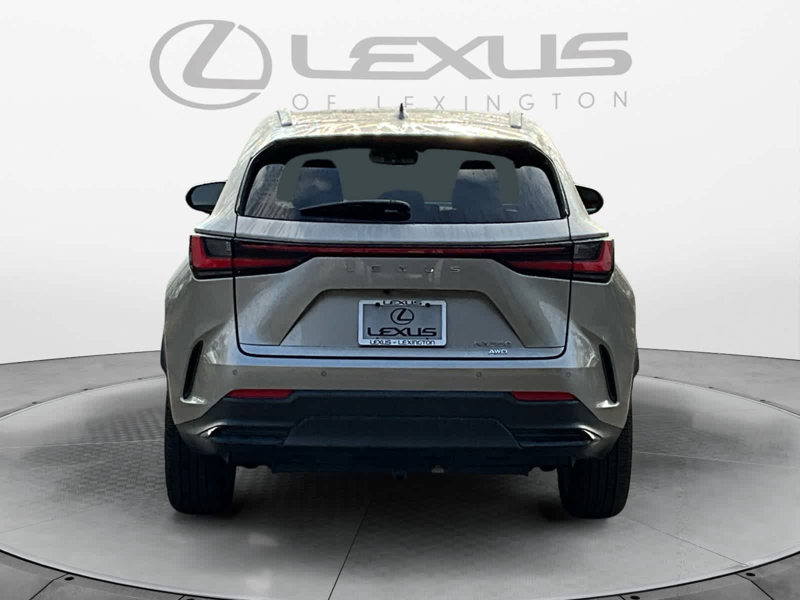 2024 Lexus NX Luxury 4