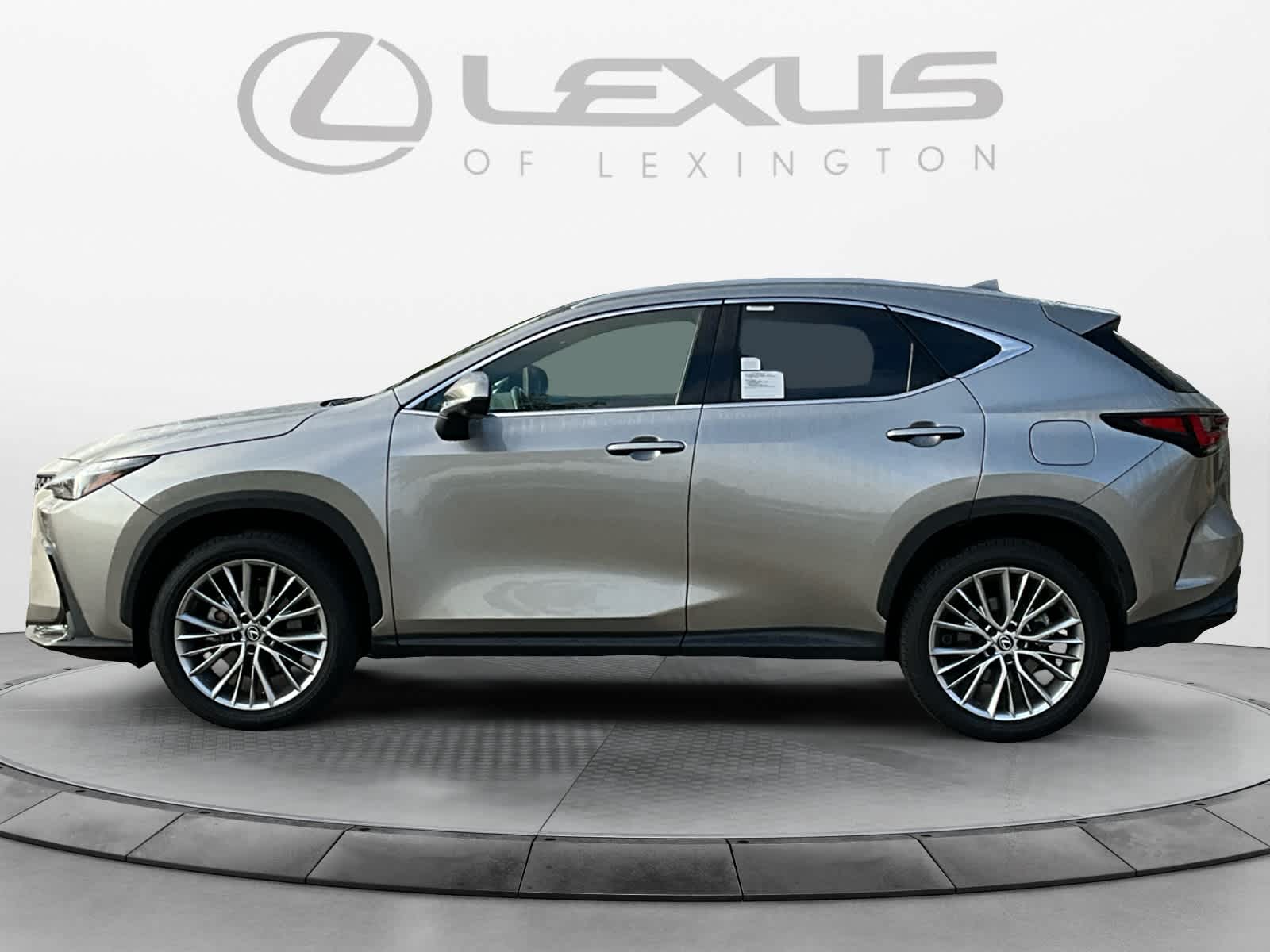 2024 Lexus NX Luxury 2