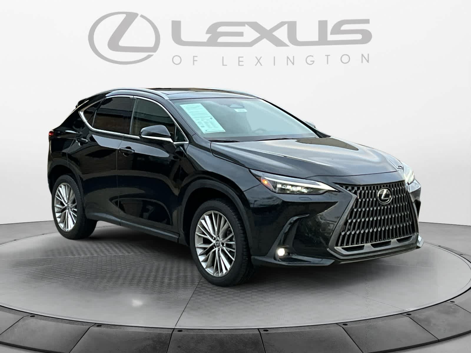 2024 Lexus NX Luxury 7