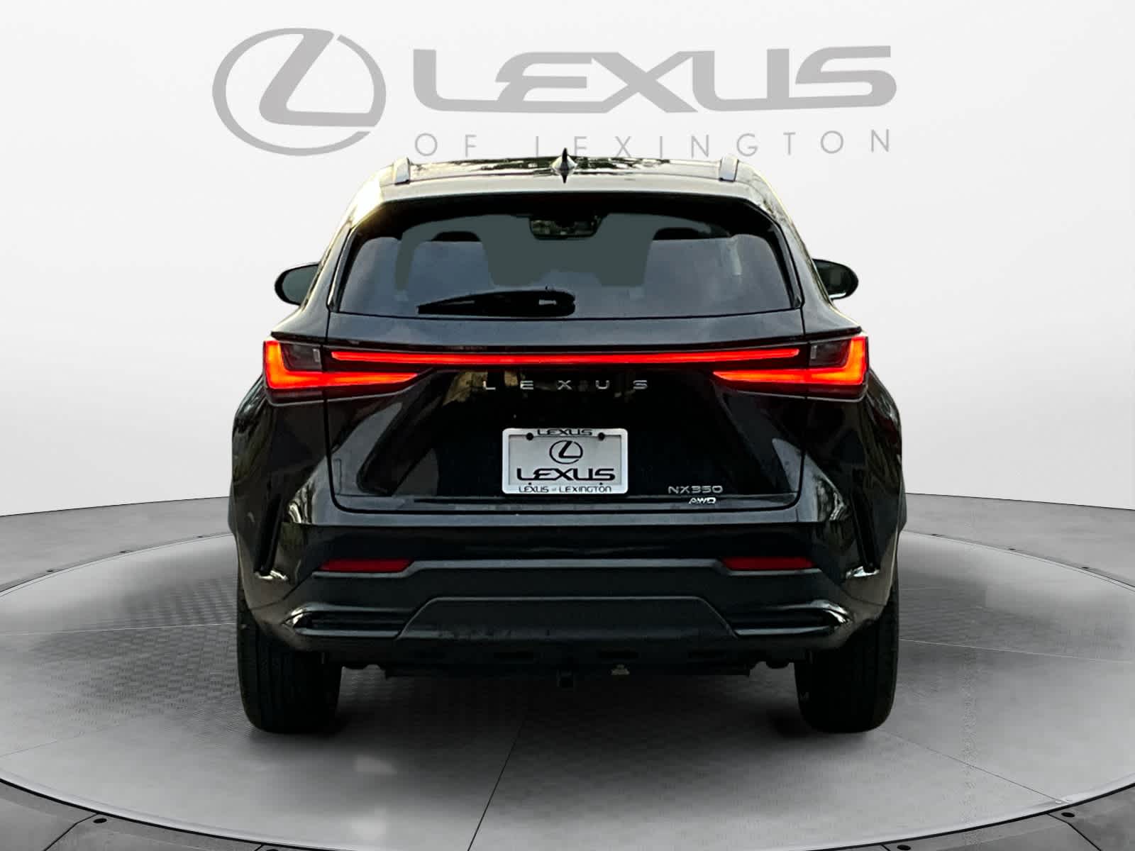 2024 Lexus NX Luxury 4