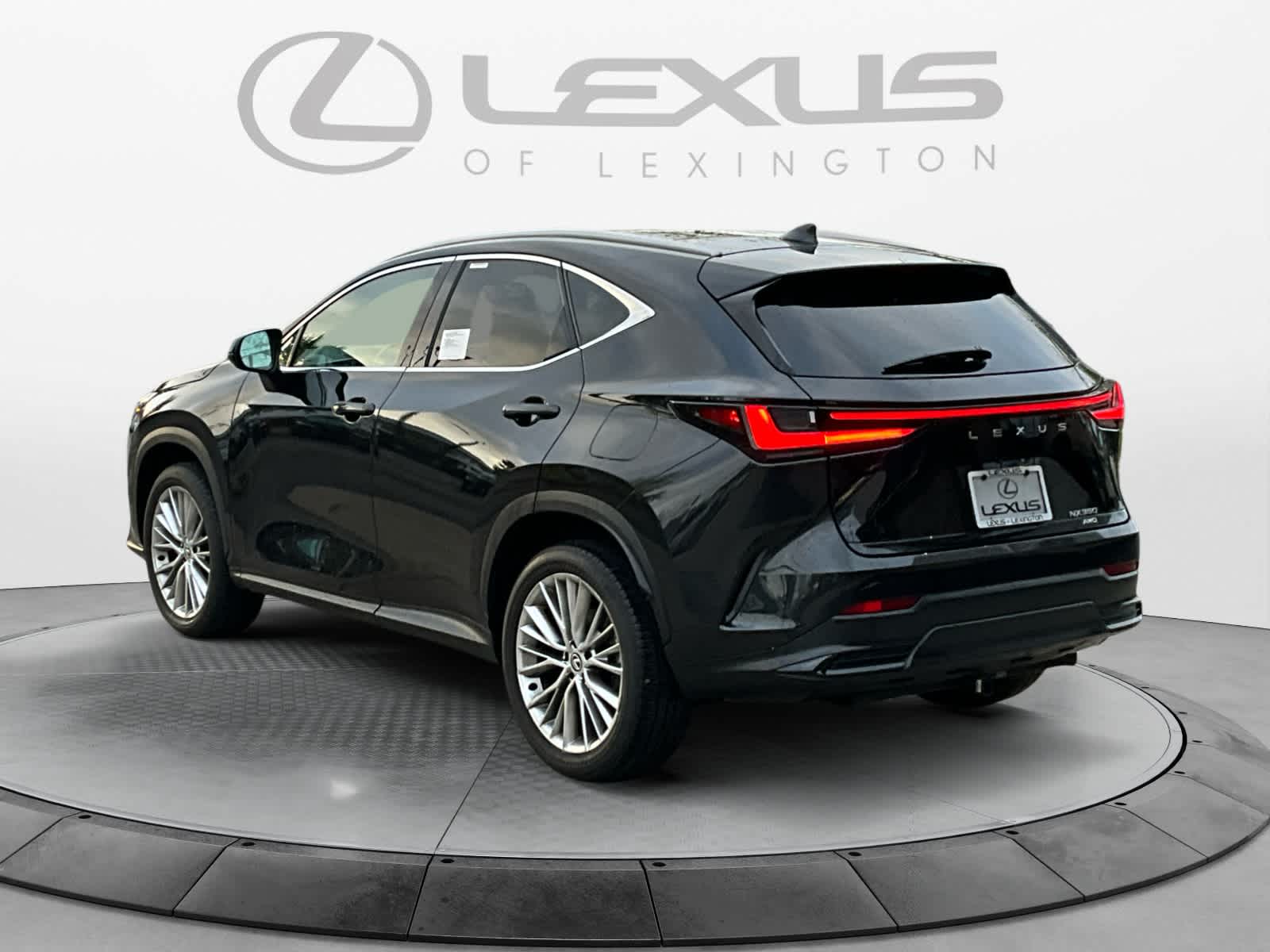 2024 Lexus NX Luxury 3