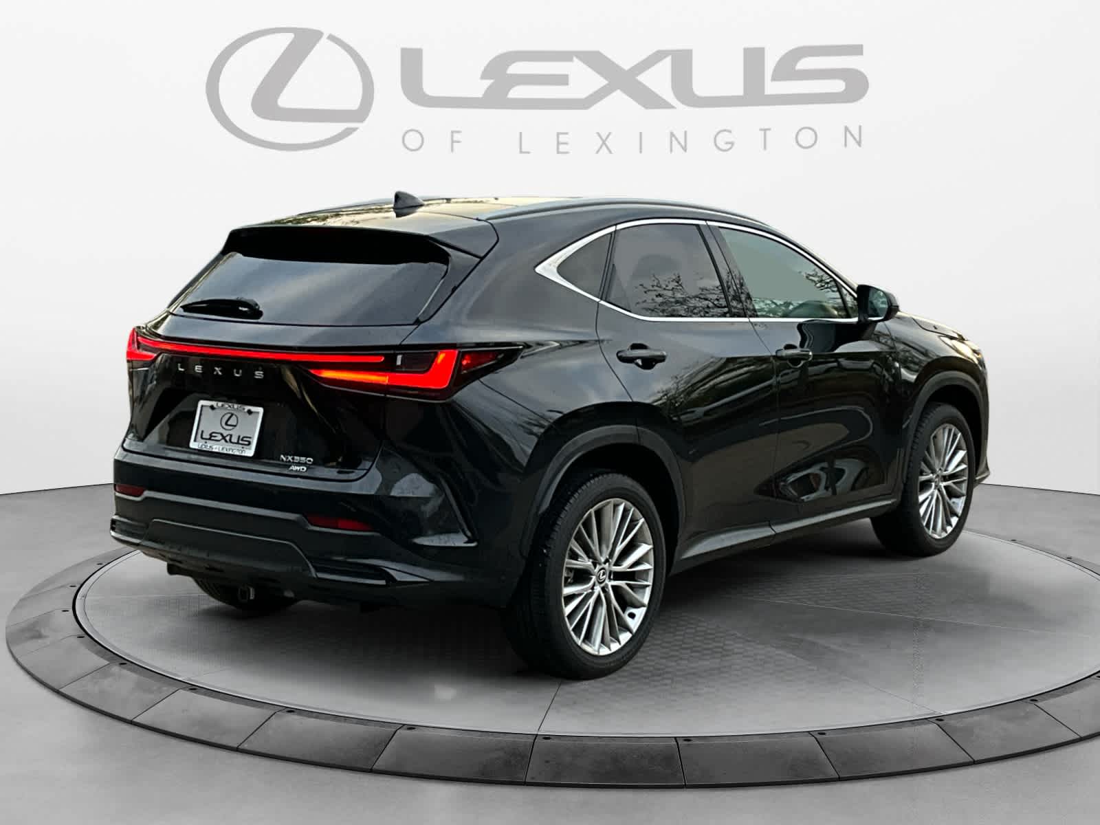 2024 Lexus NX Luxury 5